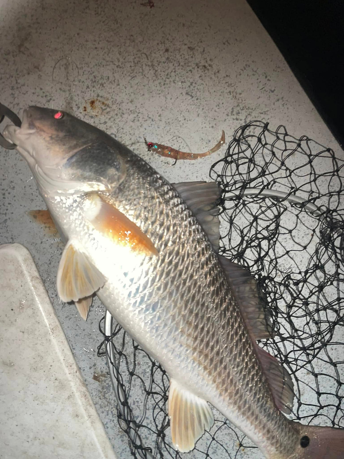 3.25" Baby Trout With Built-In Tail Rattle