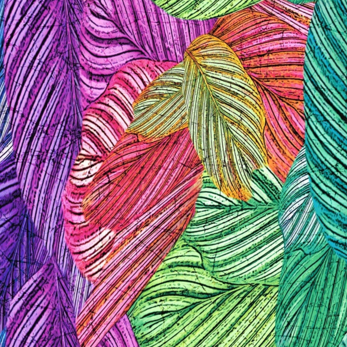 Headwrap - Samba
