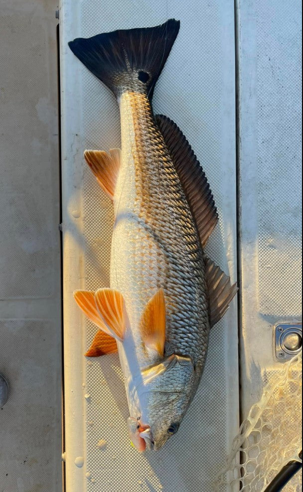 3.25" Baby Trout With Built-In Tail Rattle